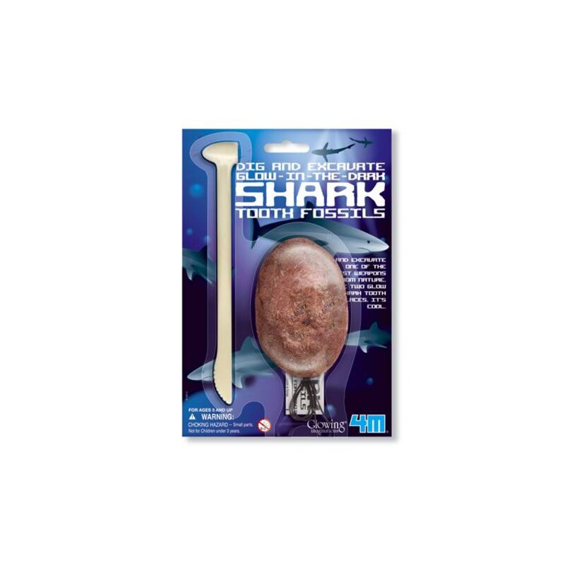 Deterre-ta-dent-de-requin, oeuf en plâtre avec 2 dents de requin phosphorescentes