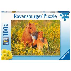 100 p XXL puzzle - Shetland ponies